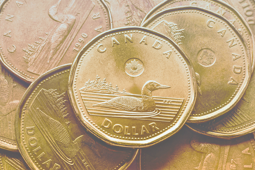 Grow your Business within Canada